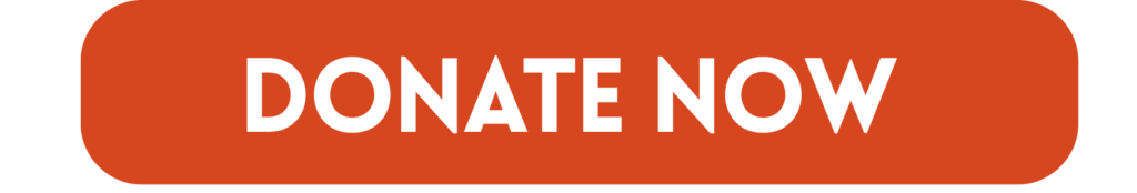 Donate Now Red